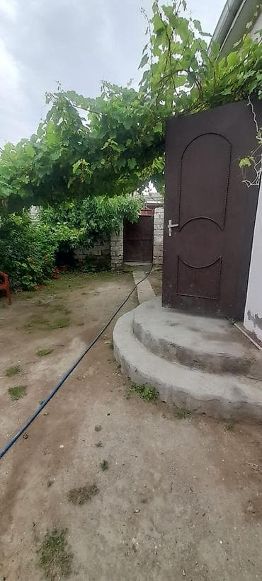koroglu: Satılır: həyət sahəsi və köməkçi tikili - Üzüm çardağı ilə — 1