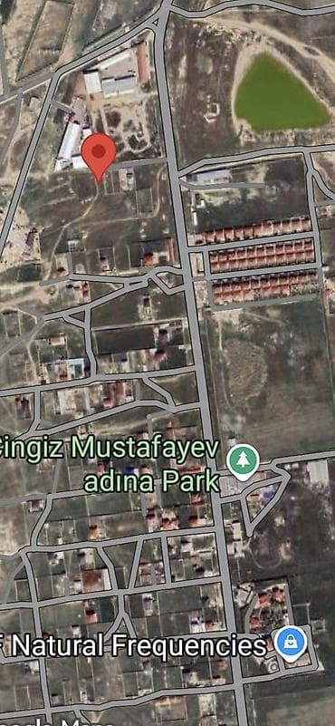 saray heyet ev type 1: 10 sot, Tikinti, Mülkiyyətçi, Kupça (Çıxarış) — 7