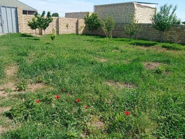 sumqayitda evlerin qiymeti: 3 комнаты, 100 м², Средний ремонт — 10