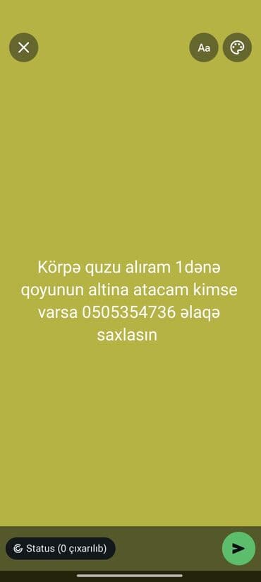 Opel: Məhsul/xidmət: Yeni doğulmuş quzu alınır Təsvir: - 1 ədəd körpə quzu — 1