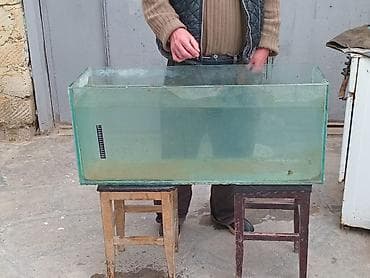 Şüşə akvarium - Düzbucaqlı forma, şəffaf şüşə - Təxminən uzunluq