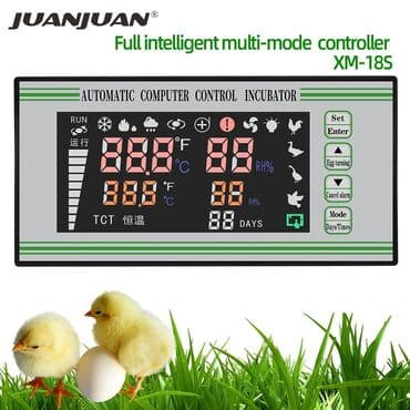 İnkubatorlar: 5000 yumurta, Çin, Fabrik istehsalı — 2