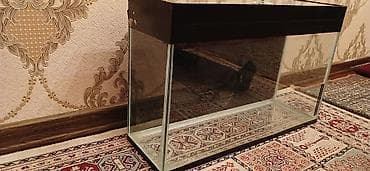 Digər heyvanlar: Dördbucaq akvarium, Boş, 50 l, Ünvandan götürmə — 5