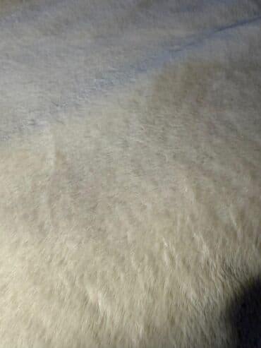 Школьная форма: Пальто, Для девочек, 12 - 14 лет, Zara Kids — 8