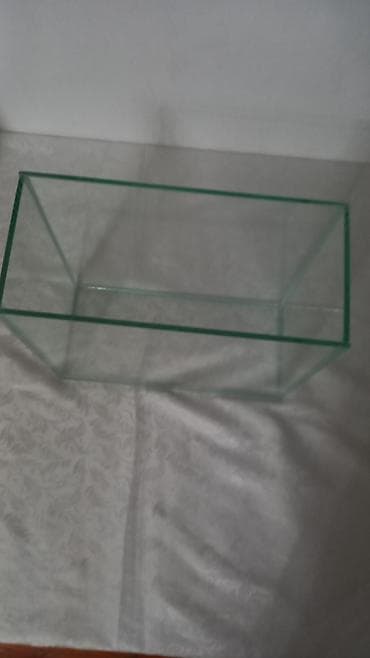 K/t heyvanları və malları: Salam istənilən ölçüdə akvarium və terariumlar yığıram nömrədə vhatsap — 10