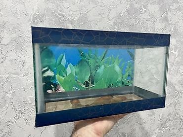 Dördbucaq akvarium, Boş, 7 l