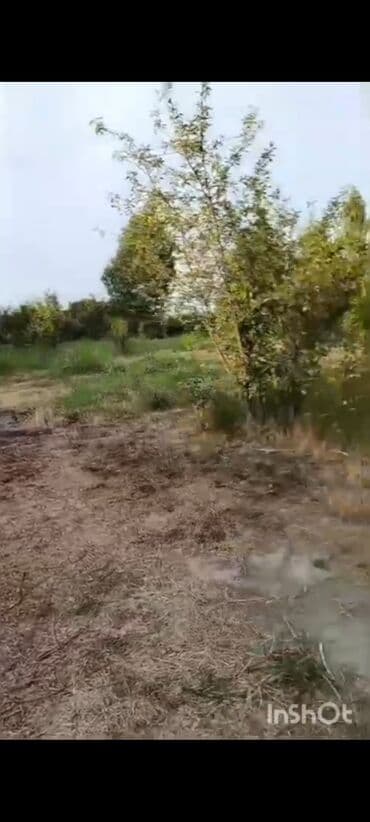 ovcu mağazası unvan: 18 sot, Biznes üçün, Mülkiyyətçi, Kupça (Çıxarış), Texniki pasport — 4