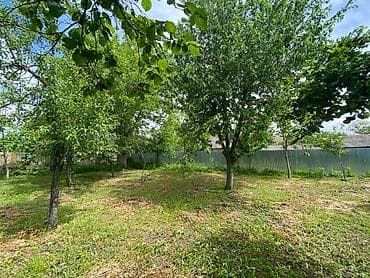 astara rayonu: 10 sot, Tikinti, Mülkiyyətçi, Kupça (Çıxarış) — 1