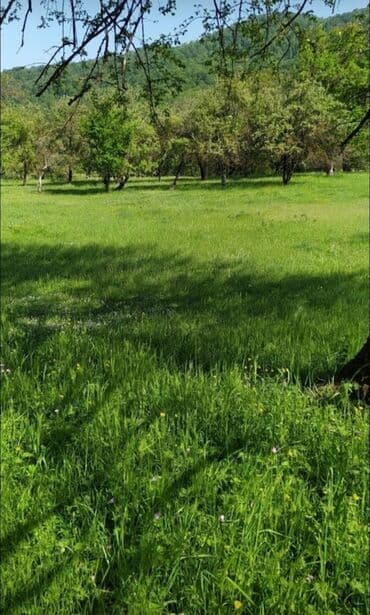 xacmazda torpaq: 48 соток, Для строительства, Собственник, Бялядия (муниципалитет) — 4