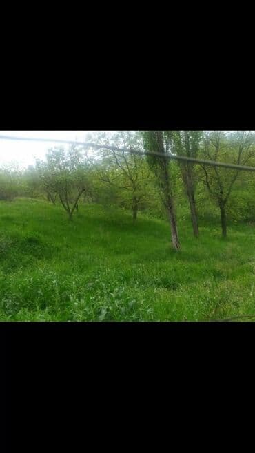 torpaq lokbatan: Yaşıl otlar və müxtəlif ağaclarla örtülmüş, yamaclı ərazidə yerləşən — 10