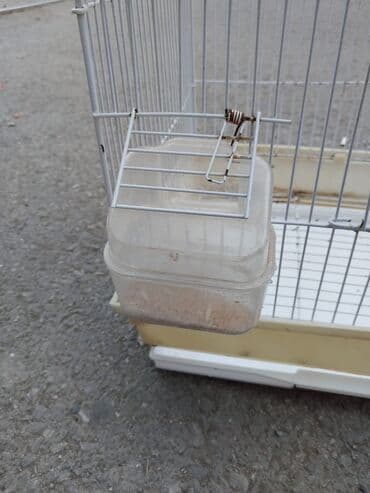 bulbul qefesi: Quş qəfəsi - Material: metal barmaqlıqlar, plastik altlıq - Ölçü — 3