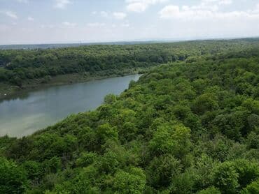 qara qarayev kiraye: 40 sot, Biznes üçün, Mülkiyyətçi, Kupça (Çıxarış) — 2