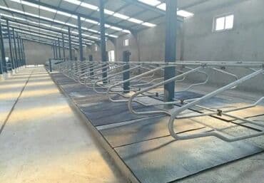 сухие корма для собак: Heyvan yatak 
Heyvan doşeyi 
Türkiyə istehsalı — 4