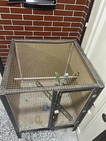 keçi satanlar: Böyük qəfəs satılır 
Quşlada satılır tək qəfəsdə satılır — 3