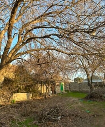 6 sot, Mülkiyyətçi, Bələdiyyə