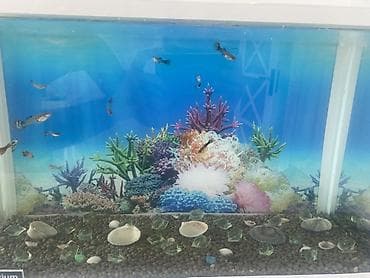 kompresör 100 lt: Dördbucaq akvarium, Balıqlarla birlikdə, 20 l, Ünvandan götürmə — 5