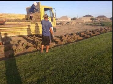 gobelek toxumu nece hazirlanir: Qazon si̇far vilalar və bağ evləri üçün yüksək keyfiyyətli və münasib — 3