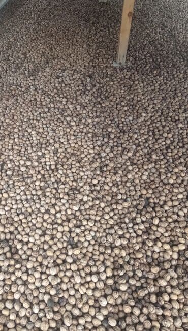 Şirniyyat məhsulları: Qarışığ yerli qoz var çox dadı qozdu isdiyən zəngdə edəbilər — 3