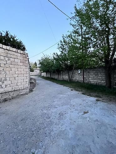 10 sot, Tikinti, Mülkiyyətçi, Kupça (Çıxarış)