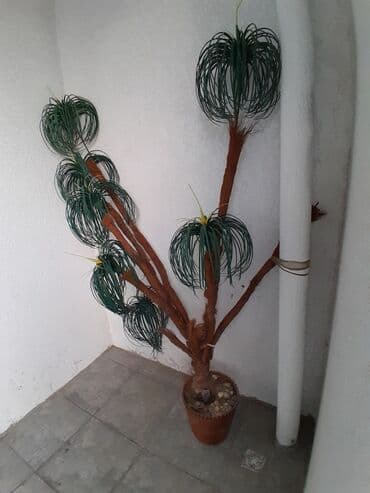 süni ağac: Ev üçün dekor "Palma" ağacı — 3