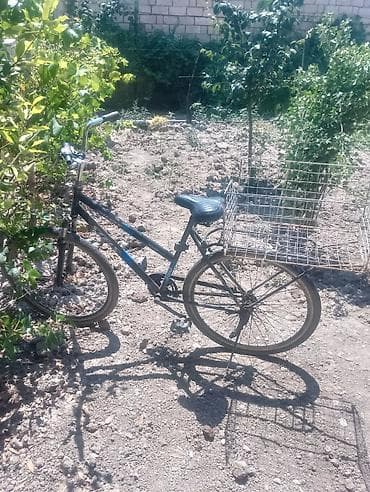 kafe aparati: Popkorn aparatı – şüşəli vitrinli, elektriklə işləyən model. Üst — 2