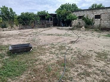 Torpaq sahələrinin satışı: 17 sot, Kənd təsərrüfatı, Kupça (Çıxarış) — 7
