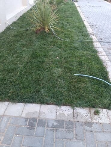 göbələk toxumu satişi: Qazon çatrlma qurasdrma
#qazon
qazonsatişi
#qachon
#qazon — 5