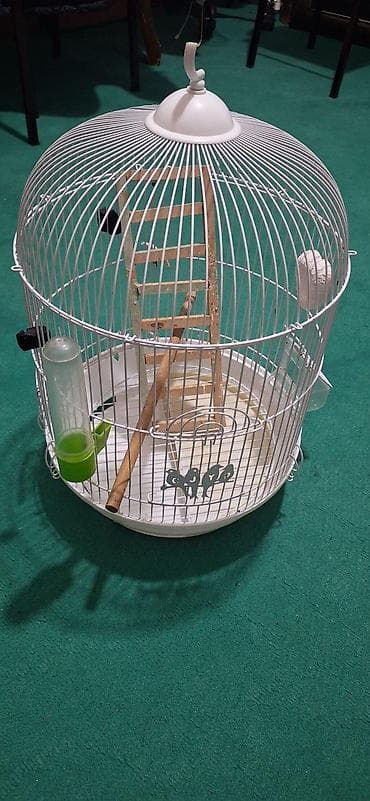 heyvan esyalari: Ağ rəngli, dairəvi formalı quş qəfəsi - Material: metal barmaqlıqlar — 2