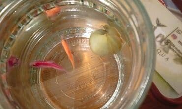 azerbaycanca pişik adlari: Salam! 1 şəkil -Akvarium - 35 manata 40 idi 2 şəkil -filtr - 16 — 6