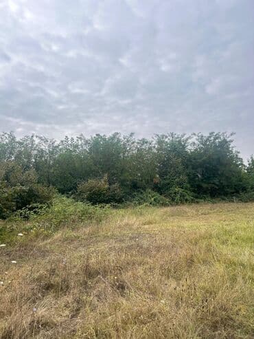 qubada torpaq satilir 2020: 110 sot, Tikinti — 15