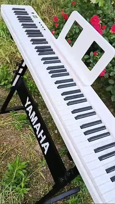 mp3 yüklə: Piano, Rəqəmsal, Yeni, Pulsuz çatdırılma — 4
