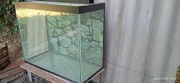 gence akvarium: Akvaryum şüşə tank - Təmiz şüşədən böyük akvaryum korpusu - Qara üst — 1