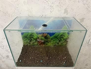 Dördbucaq akvarium, Boş, 90 l