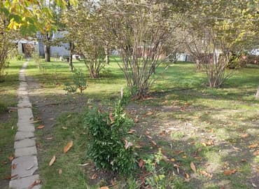 32 sot, Kənd təsərrüfatı, Mülkiyyətçi, Kupça (Çıxarış)