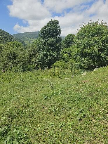 yol qiragi: Tikinti — 6