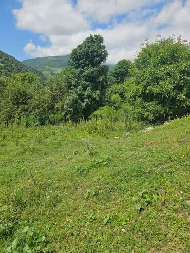 ferma icarəyə verilir: Tikinti — 5