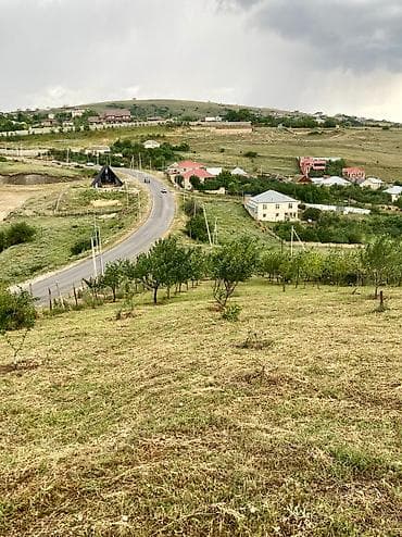 12 sot, Tikinti, Mülkiyyətçi, Kupça (Çıxarış)