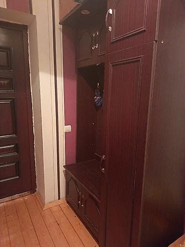paltar qurutma tavan asılqanı: Dəhliz üçün çoxfunksiyalı giriş mebel dəsti - Material: ağac əsaslı — 1