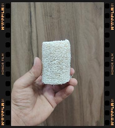 Süngərlər və fırçalar: Bu təbii luffa (loofah) süngəridir. Luffa bitkisinin (Luffa aegyptiaca — 1