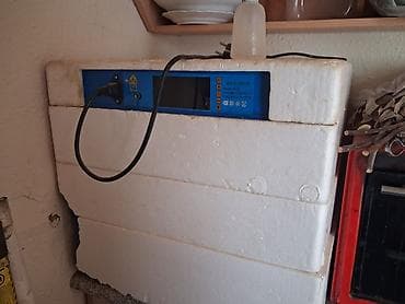 Mini inkubator – yumurta çıxarma aparat - Model: MINI INCUBATOR