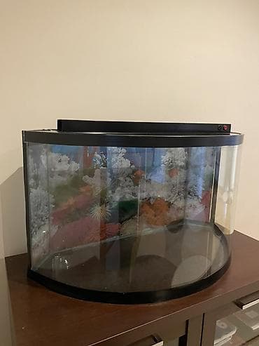 Quşlar: Boş, 200 l, Ünvandan götürmə — 1