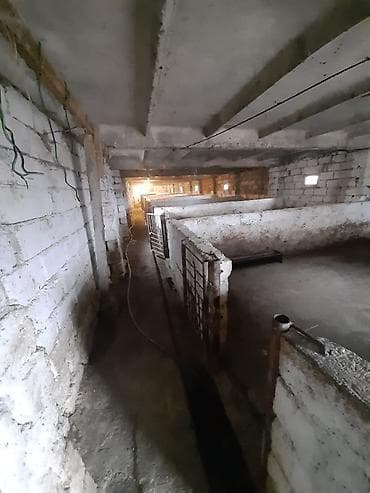 zigda satilan heyet evleri: Mal-qaranın saxlanışı və heyvandarlıq üçün təsərrüfat sahəsi və — 2