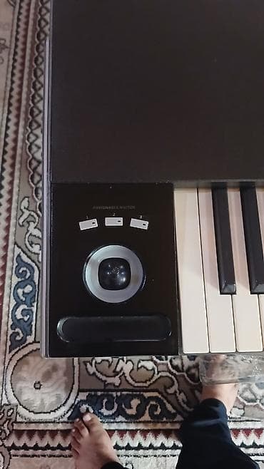 Sintezator, Korg — 4
