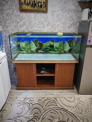 it yemi: Akvaryum və şkaf dəsti(130x50x50) Şüşə 10-luqdur, şkafın qapağıda var — 3