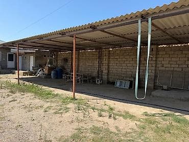 kiraye gence: Parnik İcarəyə Verilir – Zirə qəsəbəsi Zirə qəsəbəsində, əsas yoldan — 7