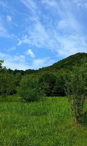 sumqayıtda torpaq: 4 sot, Tikinti, Mülkiyyətçi, Kupça (Çıxarış) — 5