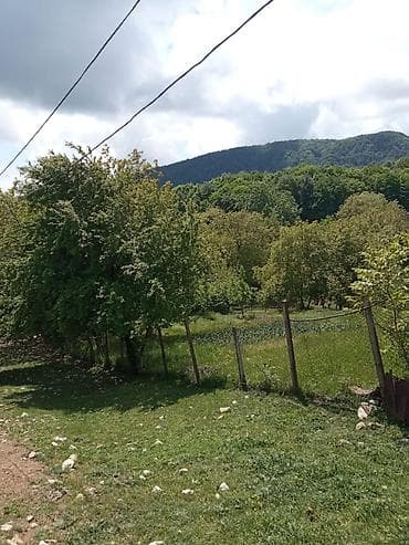 obyekt satilir: 60 sot, Kənd təsərrüfatı, Mülkiyyətçi, Kupça (Çıxarış) — 2