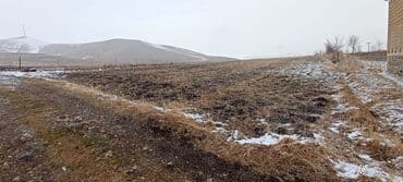 bina evi bakı: 12 sot, Tikinti, Mülkiyyətçi, Kupça (Çıxarış) — 2