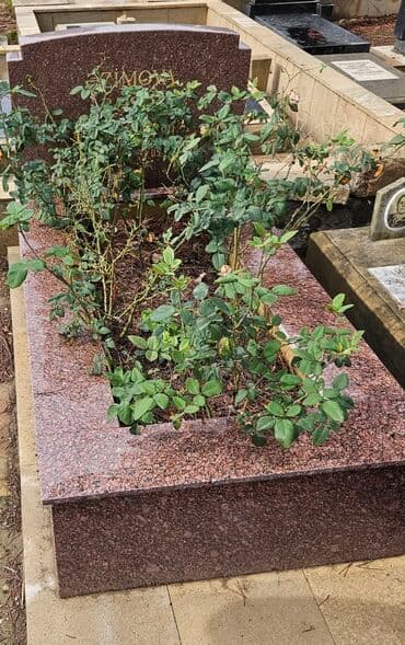 türkiye: Hindistan mərmərləri. Türkiyə mərmərləri;Şahbəyaz,Marmara — 9