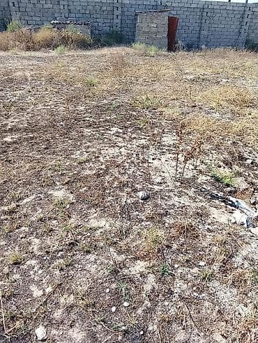 5000 sot, Tikinti, Mülkiyyətçi, Bələdiyyə — 4